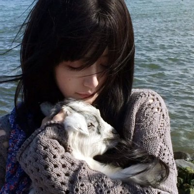 审死猪